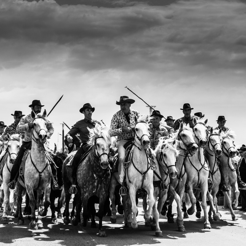 Abrivado de Camargue (crédit photo Géraldine Carvalho)