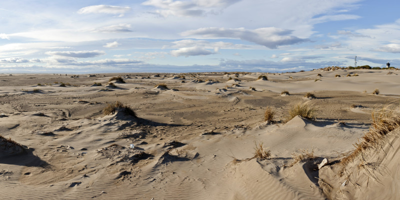 Plage de l'Espiguette vue large (photo Quentin Medda @Flickr)